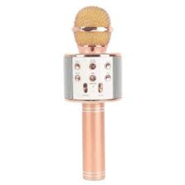 WSTER MIC WITH SPEAKER WS-858