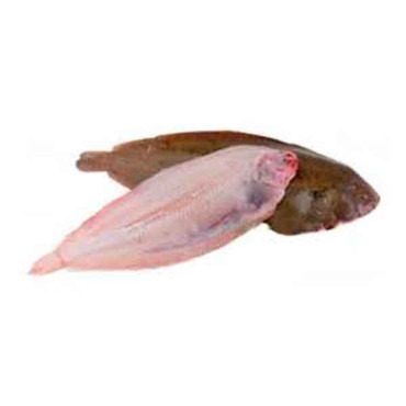 FRESH SOLE FISH BIG - 1KG PKT