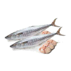 FRESH KING FISH MEDIUM - 1KG (APPROX) 