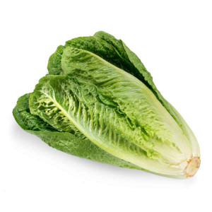 LETTUCE ROMAINE - KUWAIT- 500GM